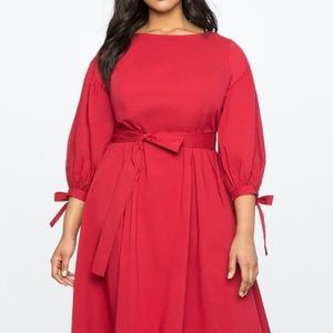 Puff Sleeve Fit and Flare Dress